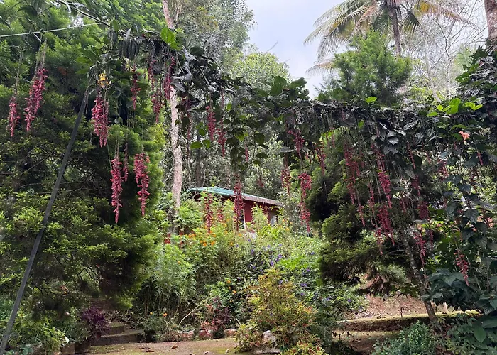 Pepper County Farm Stay Munnar